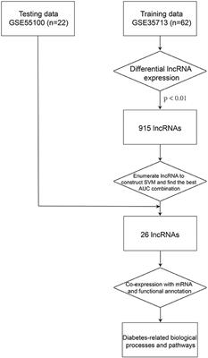 Identification of a Multi–Long Noncoding RNA Signature for the Diagnosis of Type 1 Diabetes Mellitus